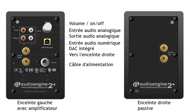 Face arrière des enceintes