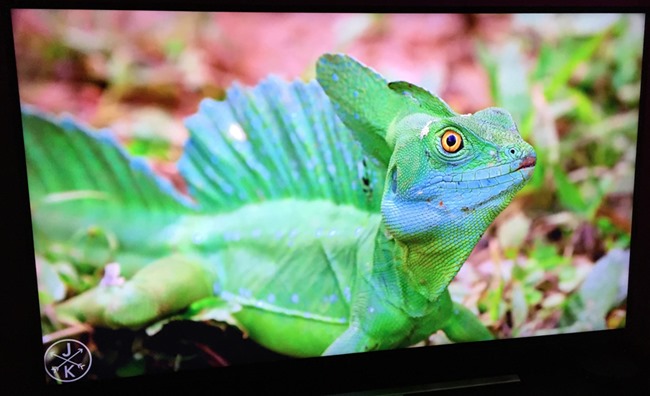 Un rendu détaillé et riche en couleurs pour les vidéos YouTube