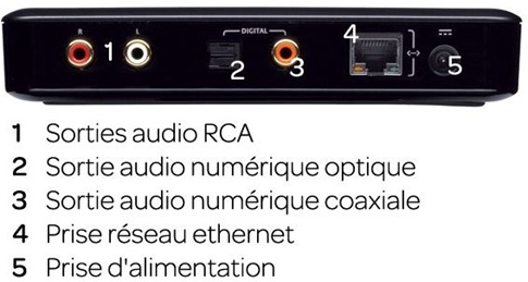 squeezebox-connectique-audio