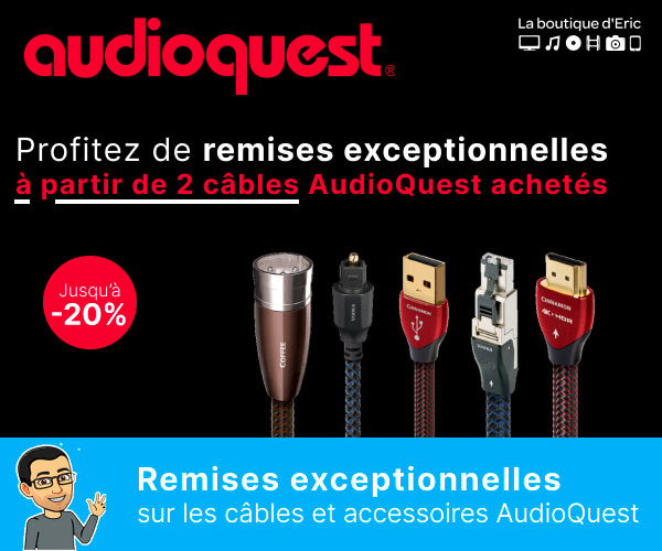 Câble mini-jack/RCA Audioquest Evergreen - La boutique d'Eric