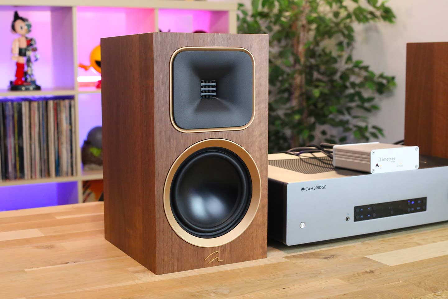 Enceintes HiFi passives nouvelles gamems Martin Logan Foundation et Sonus Faber Sonetto